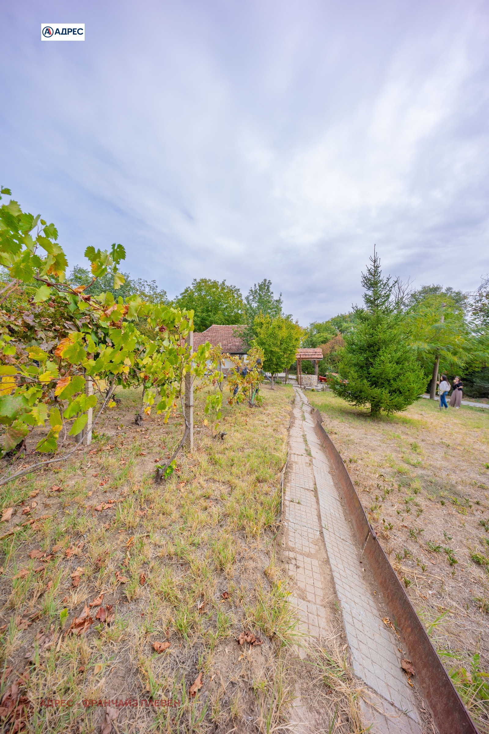 ������� ���� | Imot.bg � ����������� 16