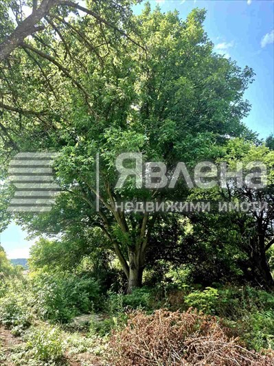 Продава ПАРЦЕЛ, с. Стефаново, област Перник, снимка 3 - Парцели - 55840155