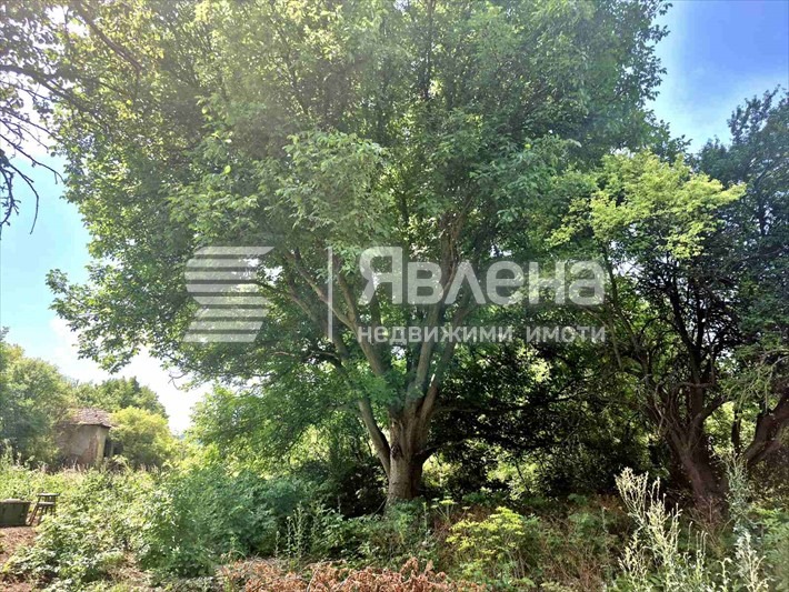 Продава ПАРЦЕЛ, с. Стефаново, област Перник, снимка 2 - Парцели - 55840155