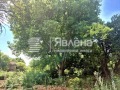 Продава ПАРЦЕЛ, с. Стефаново, област Перник, снимка 2
