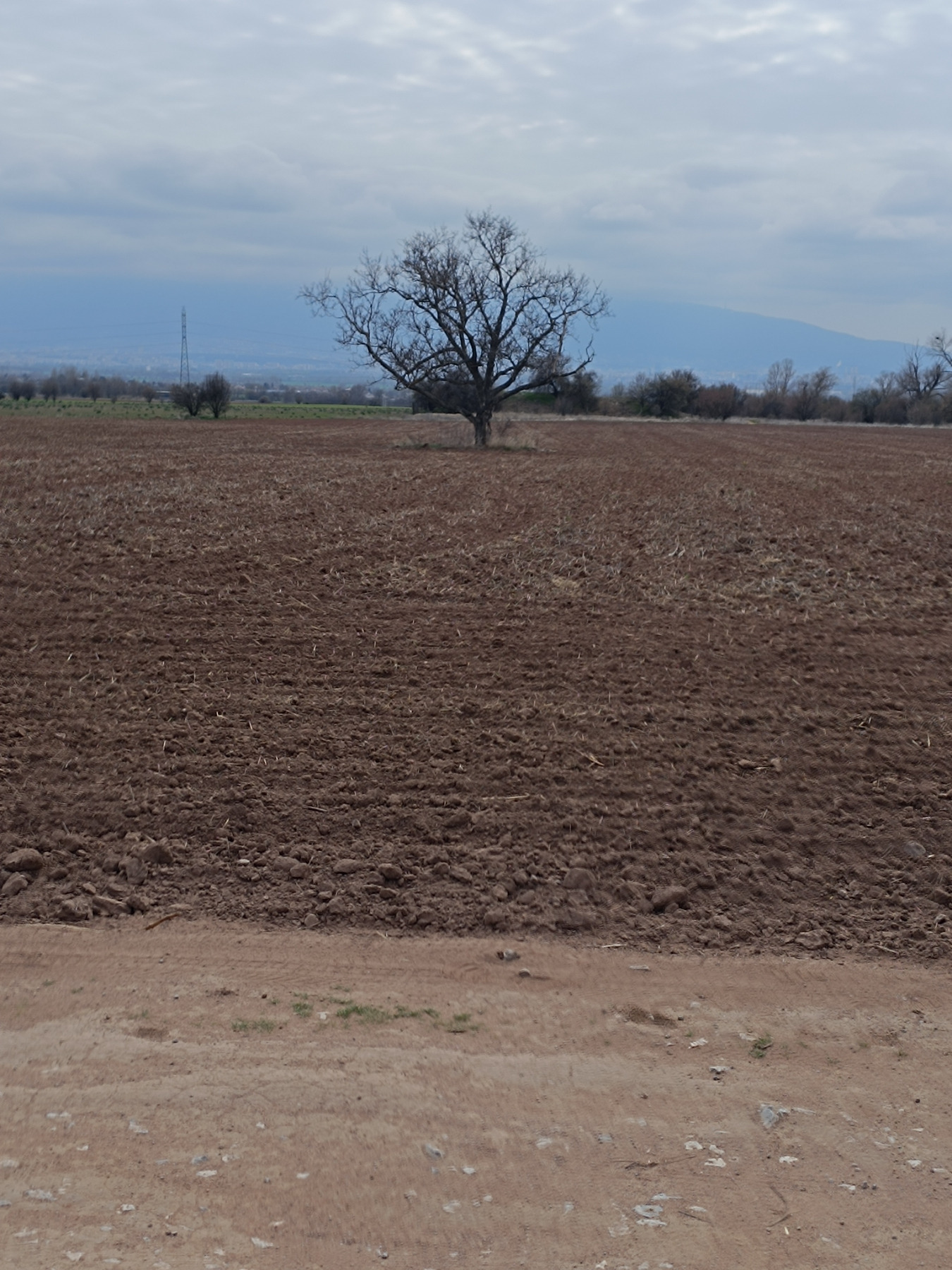 ������� ���������� ���� | Imot.bg � ����������� 15