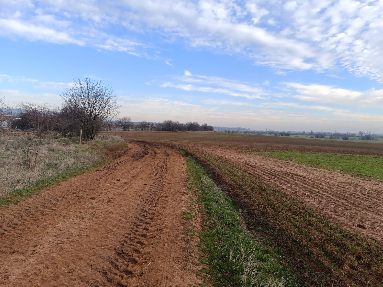 ������� ���������� ���� | Imot.bg � ����������� 6