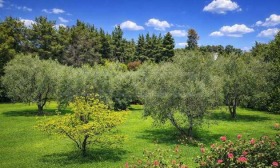 ������� ���� | Imot.bg � ����� ������ 4