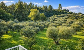 ������� ���� | Imot.bg � ����� ������ 10