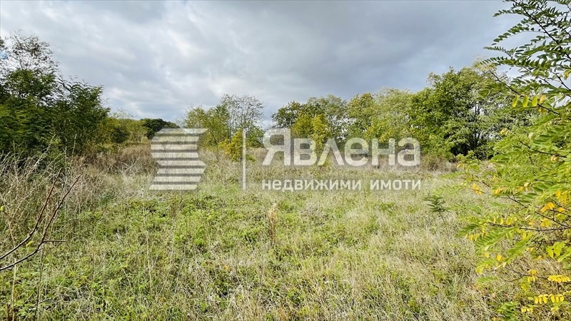À vendre  Parcelle région de Dobritch , Kamen bryag , 1228 m² | 46472878 - image [4]