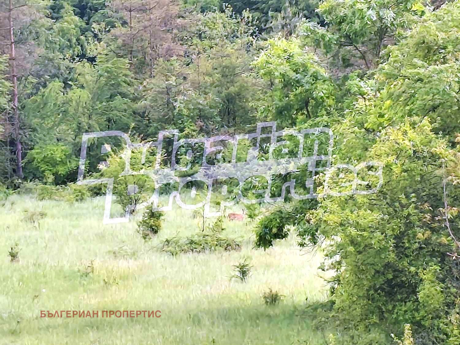 Продава ХОТЕЛ | Imot.bg — изображение 10