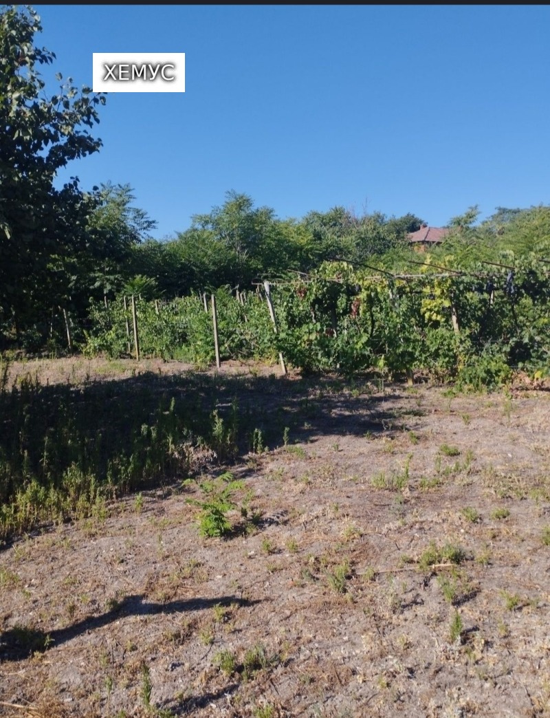 Продава  Къща област Разград , с. Юпер , 98 кв.м | 89944383 - изображение [11]