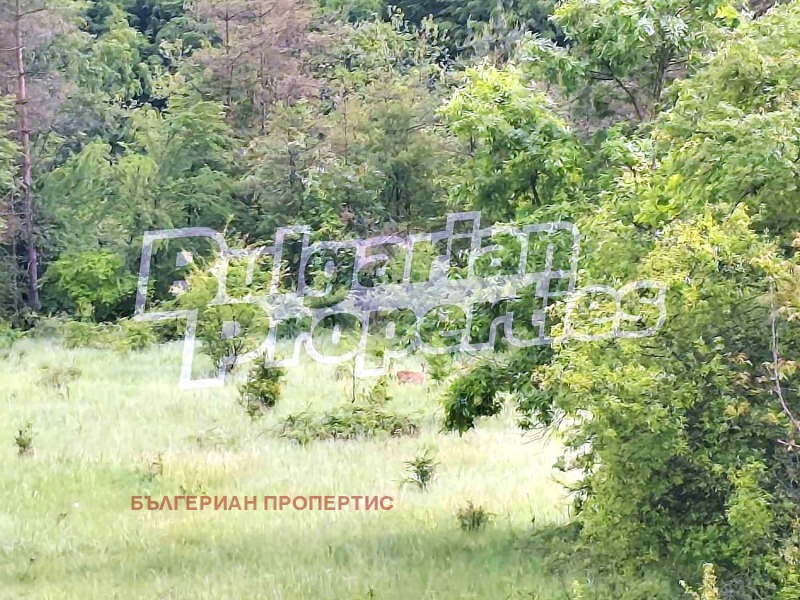 Продава  Хотел област Габрово , с. Кръвеник , 2172 кв.м | 99281198 - изображение [10]