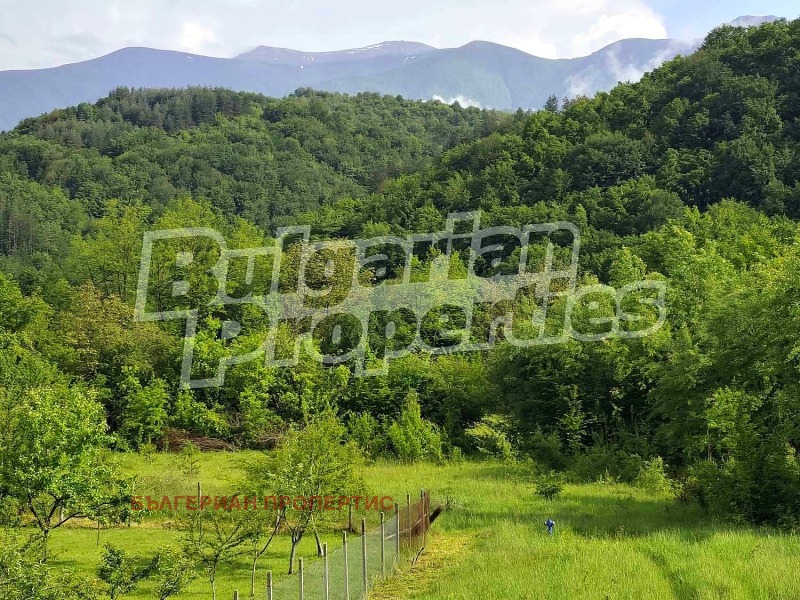 Продава  Хотел област Габрово , с. Кръвеник , 2172 кв.м | 99281198 - изображение [3]