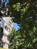 Продава 1-СТАЕН, град София, Банишора • 80000 € • 80317317 — Holmes.bg