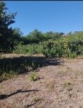 Продава КЪЩА, област Разград, с. Юпер • 24000 лв. / 12271.01 € • 97610924 11