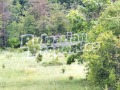Продава ХОТЕЛ, област Габрово, с. Кръвеник • 270000 € • 41060246 — Holmes.bg