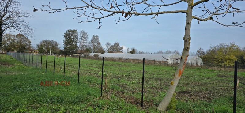 Продава ПАРЦЕЛ, с. Крапец, област Добрич, снимка 2 - Парцели - 53495788