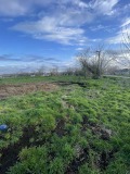 Продава ПАРЦЕЛ, с. Коларово, област Стара Загора, снимка 2