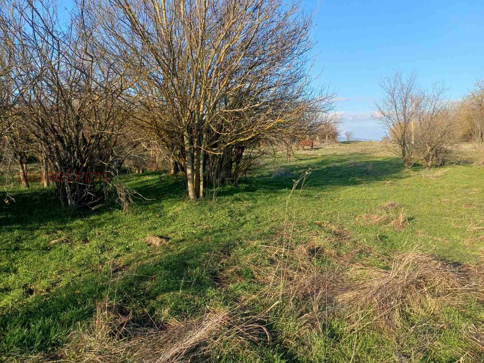 ������� ������ | Imot.bg � ����������� 2