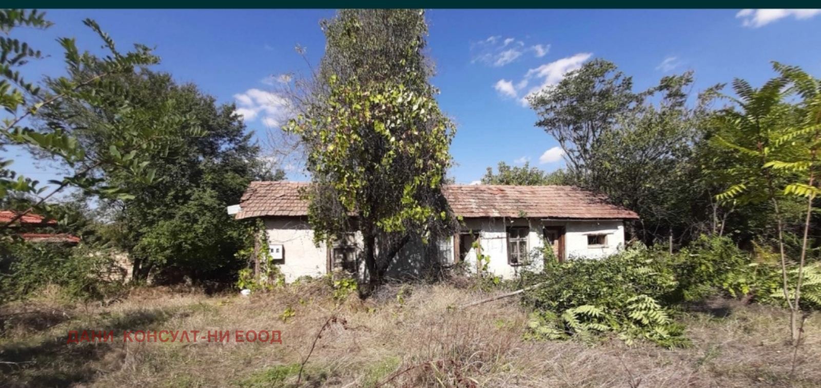 Продава КЪЩА, с. Паскалевец, област Велико Търново, снимка 2 - Къщи - 40193194