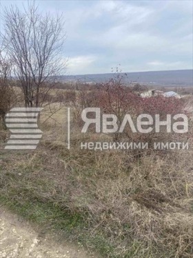 Plott Rogasjevo, region Dobrich 3