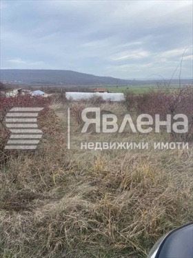 Plott Rogasjevo, region Dobrich 2