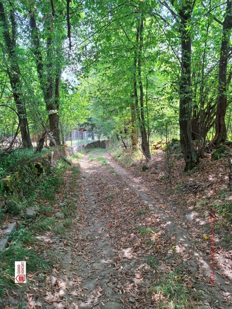 Till salu  Komplott region Lovech , Aprilci , 1854 kvm | 52810881 - bild [8]