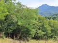 Продава ПАРЦЕЛ, гр. Априлци, област Ловеч, снимка 2