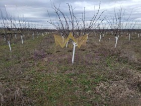 ������� ������ | Imot.bg � ����� ������ 2