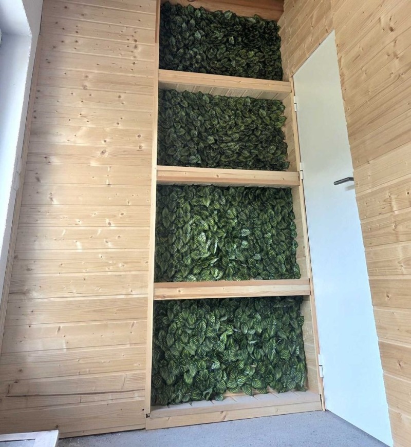 Продава  Етаж от къща град Кюстендил , Колуша , 190 кв.м | 95029917 - изображение [3]