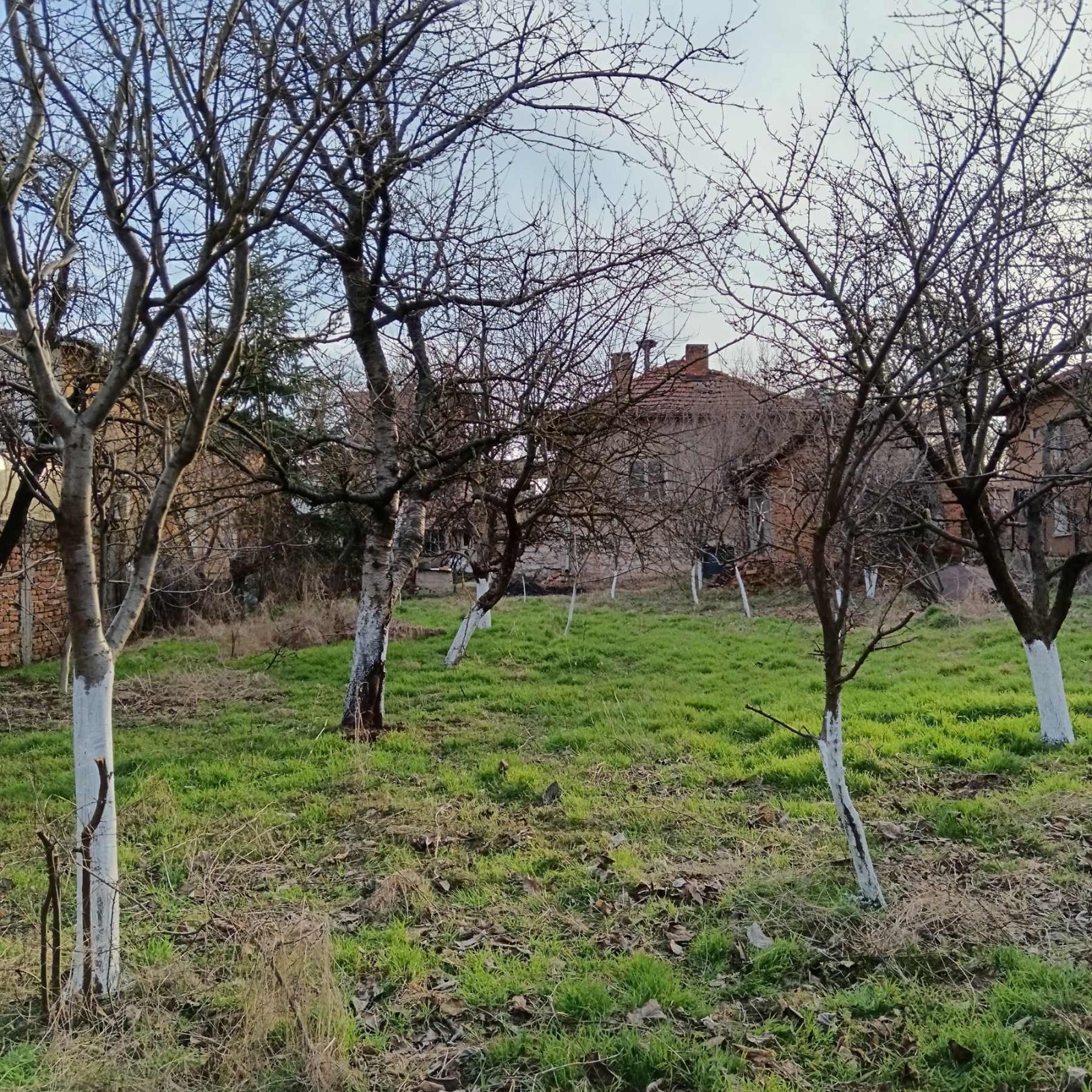 Продава КЪЩА, гр. Костинброд, област София област, снимка 5 - Къщи - 55647149