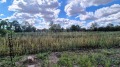 Продава КЪЩА, с. Сливенци, област Добрич, снимка 4