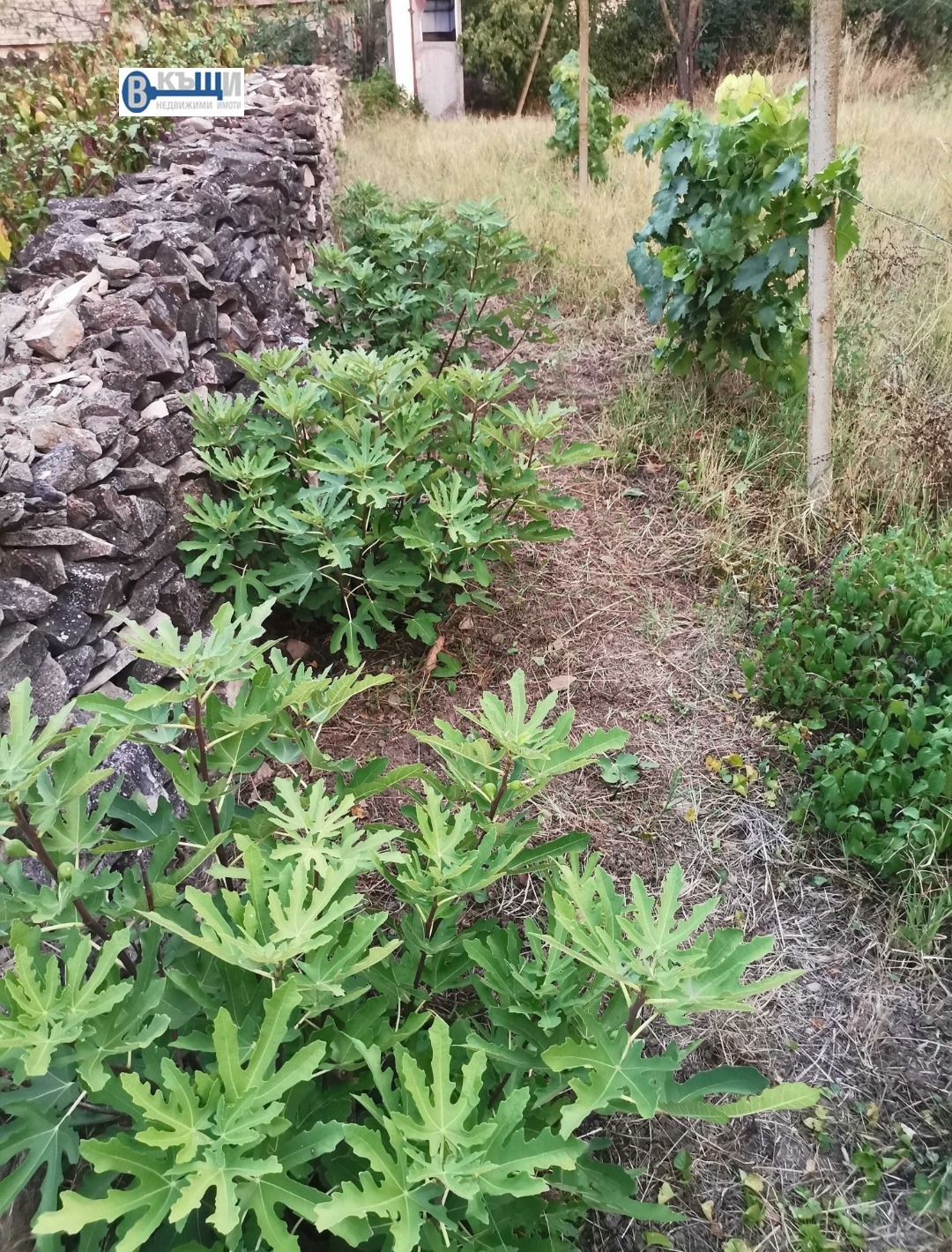 Продава КЪЩА | Imot.bg — изображение 7