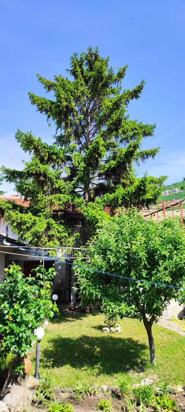 Продава  Къща град Шумен , Дивдядово , 90 кв.м | 78807572 - изображение [8]