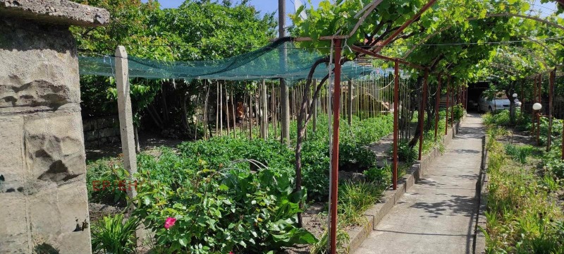 Продава  Къща град Шумен , Дивдядово , 90 кв.м | 78807572 - изображение [12]