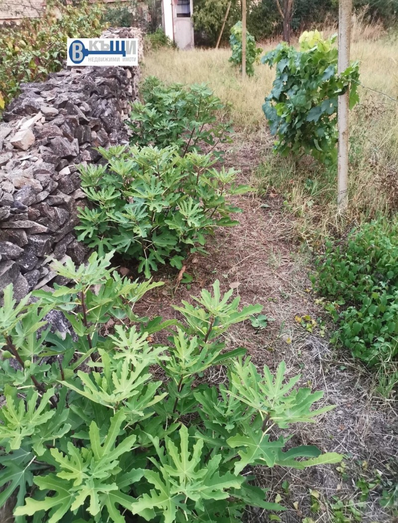 For Sale  House region Veliko Tarnovo , Kutsina , 110 sq.m | 96503511 - image [7]