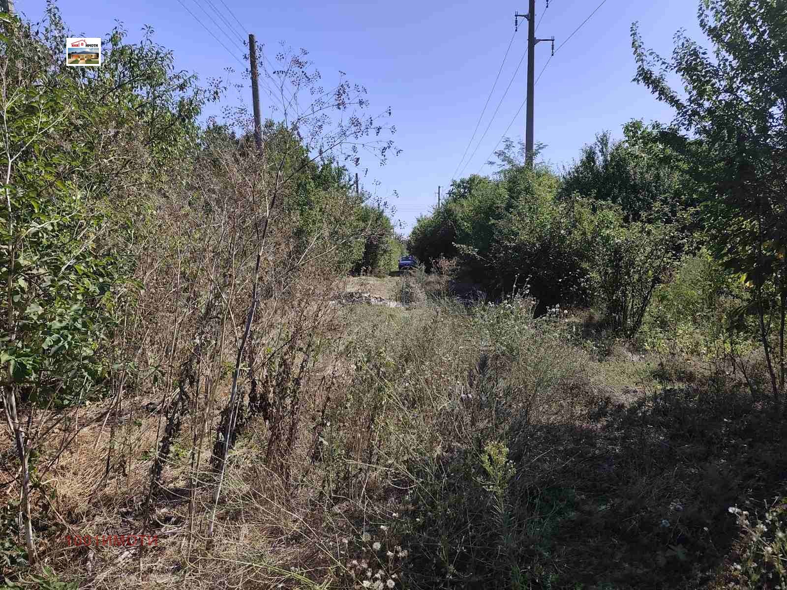 Продава КЪЩА, с. Пчеларово, област Добрич, снимка 2 - Къщи - 55285550