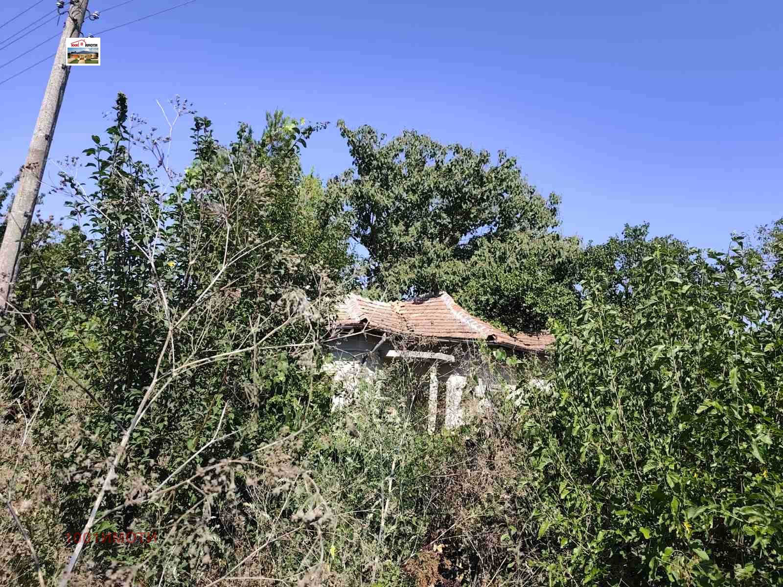 Продава КЪЩА, с. Пчеларово, област Добрич, снимка 3 - Къщи - 55285550