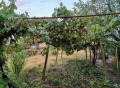 Продава КЪЩА, област Велико Търново, с. Куцина • 23000 € • 91489435 — Holmes.bg