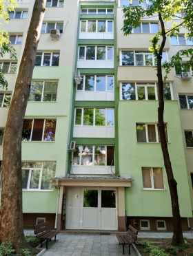Studie Storgoziya, Pleven