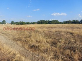 Парцел с. Лесново, област София