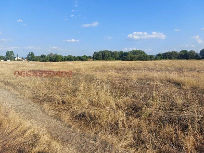 Продава ПАРЦЕЛ, област София, с. Лесново • 139000 € • 49055621 — Holmes.bg