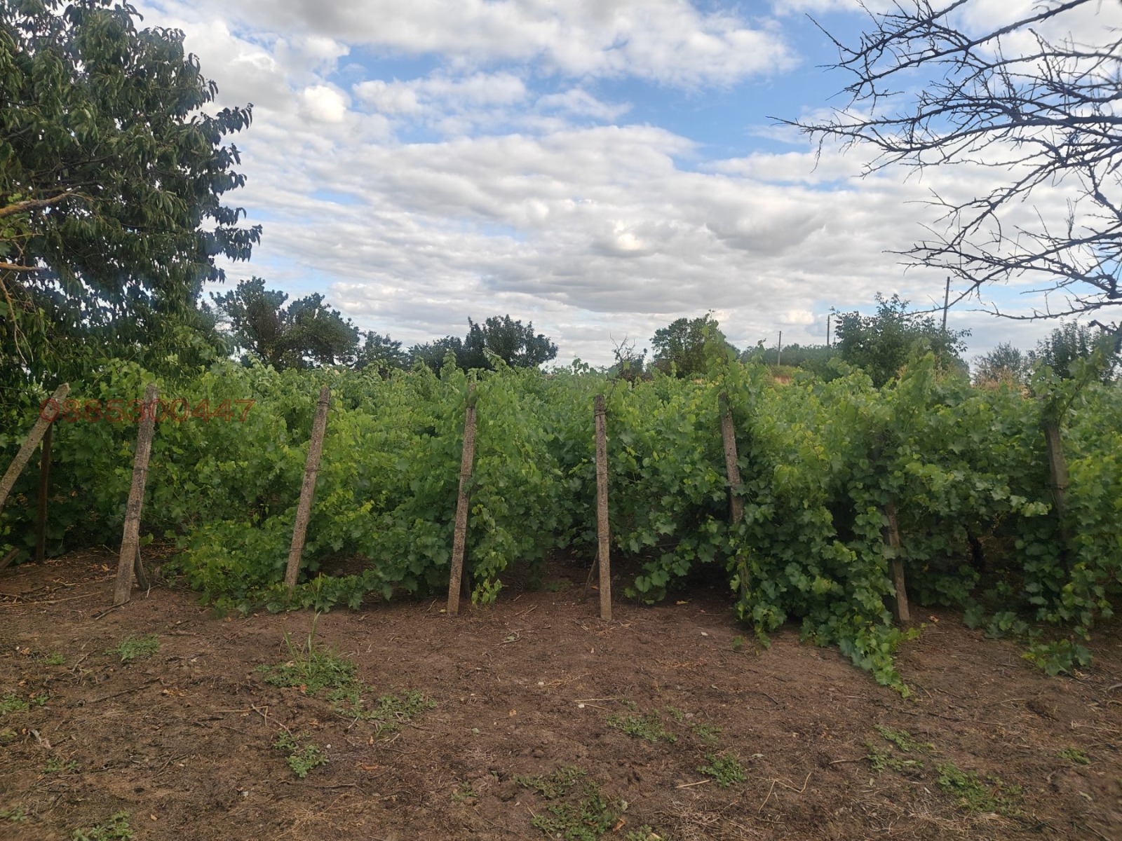 ������� ���� | Imot.bg � ����������� 5