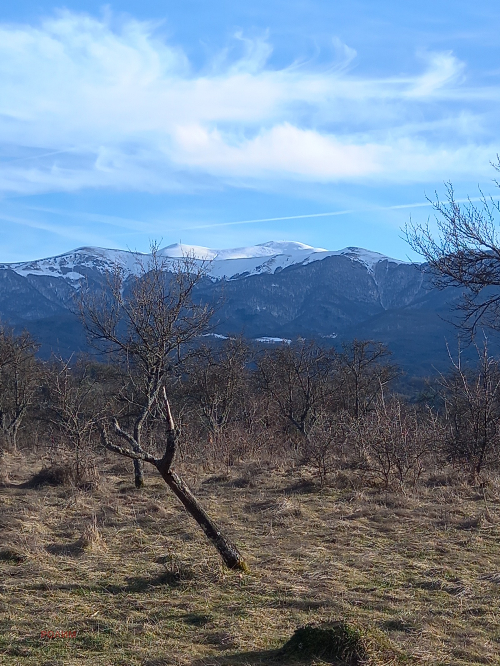 ������� ������ | Imot.bg � ����������� 4