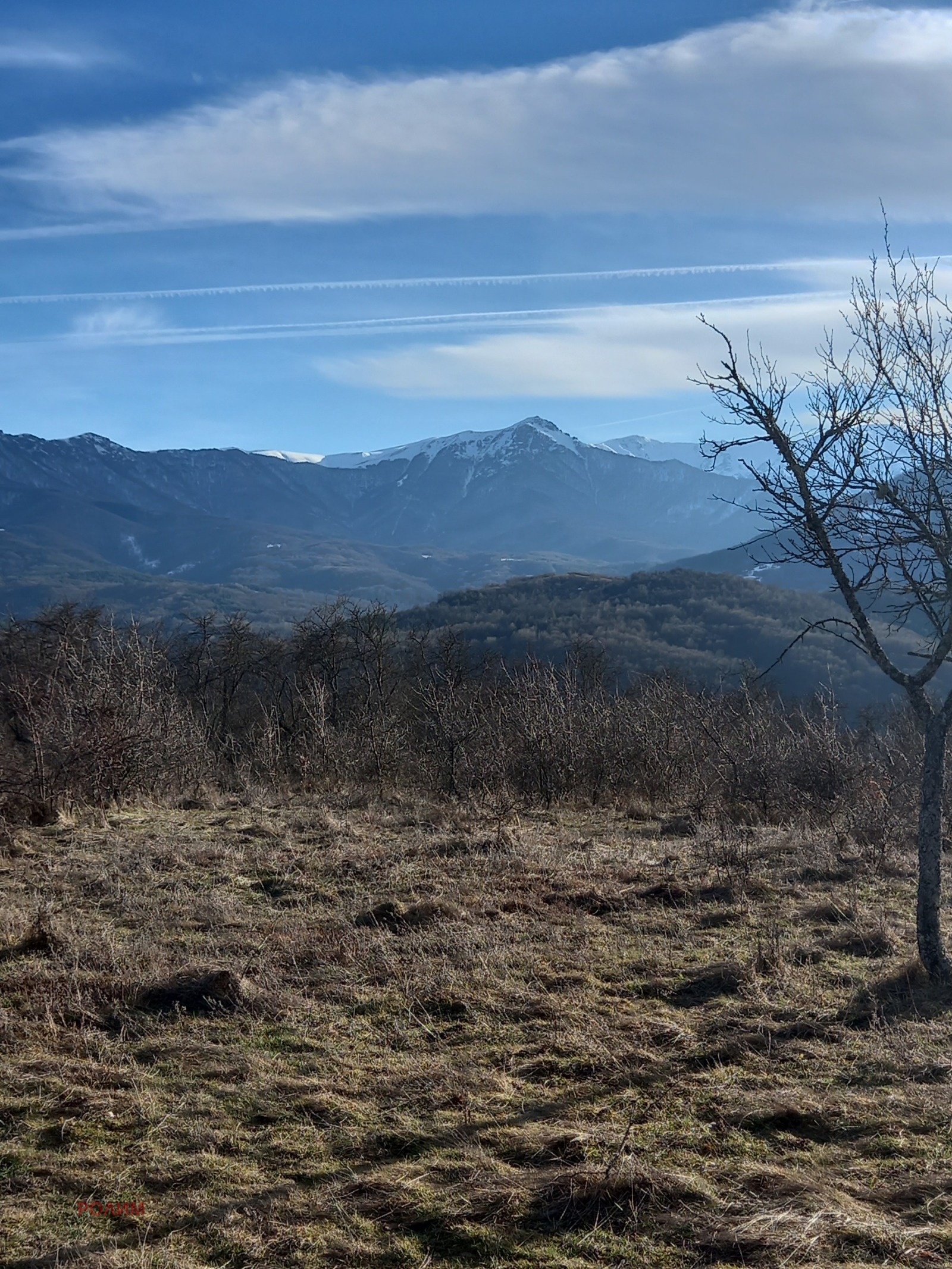 ������� ������ | Imot.bg � ����������� 7