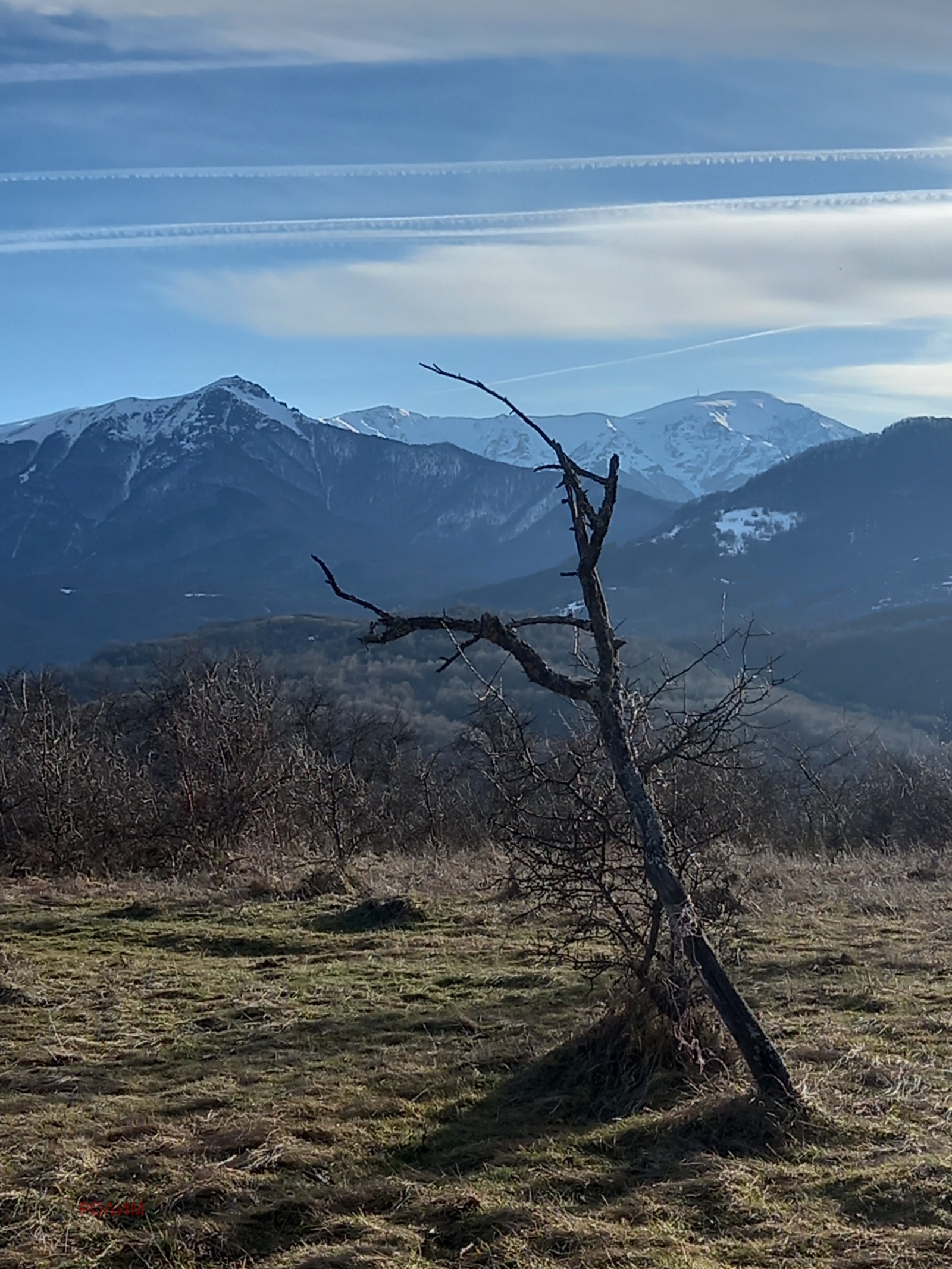 ������� ������ | Imot.bg � ����������� 5