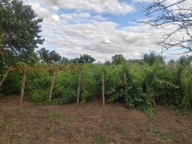 ������� ���� | Imot.bg � ����� ������ 5