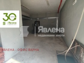 ����� ������� �����,���� �����, ��������