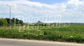Продава ПАРЦЕЛ, с. Тънково, област Бургас, снимка 9