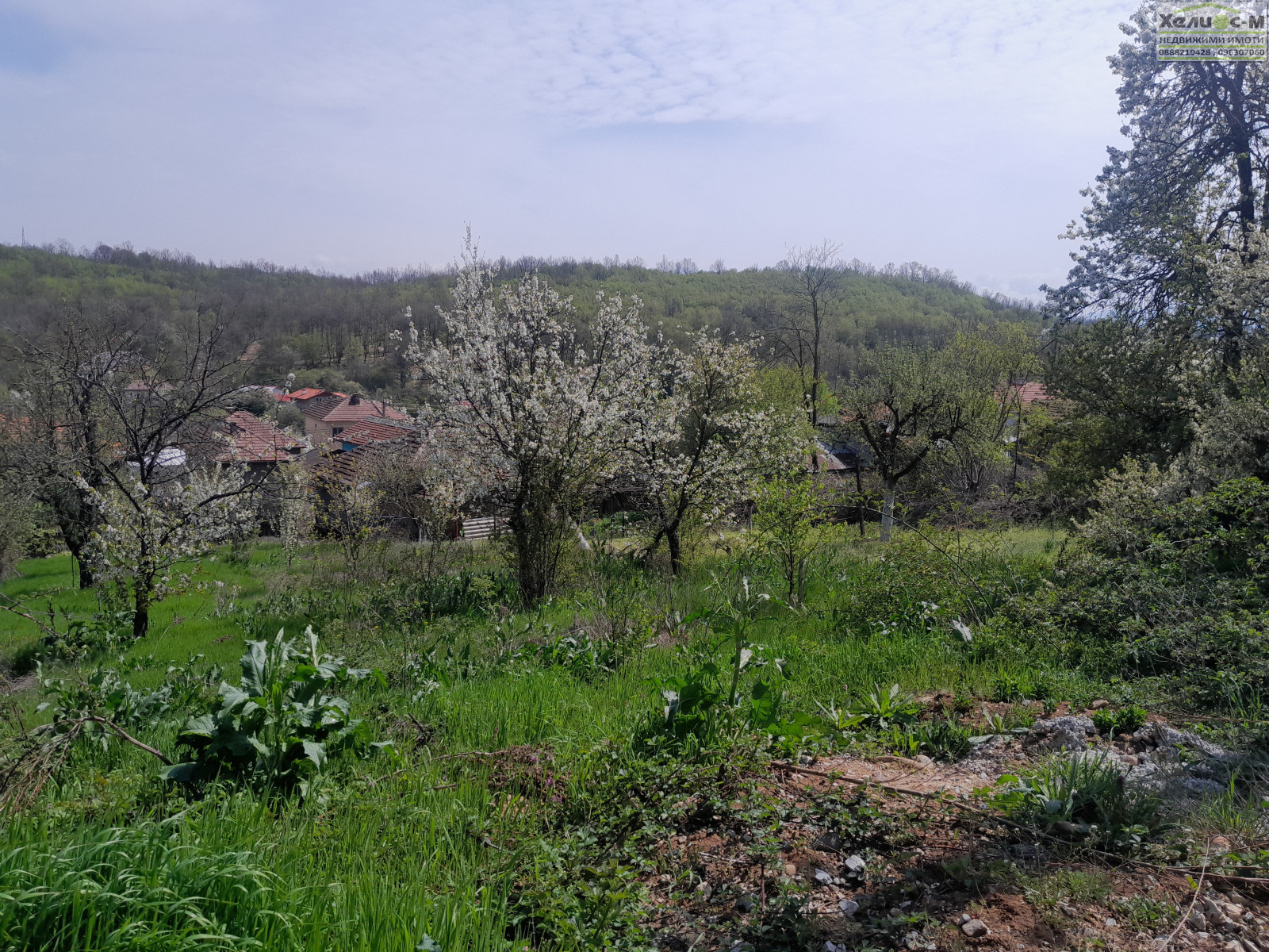 ������� ������ | Imot.bg � ����������� 5
