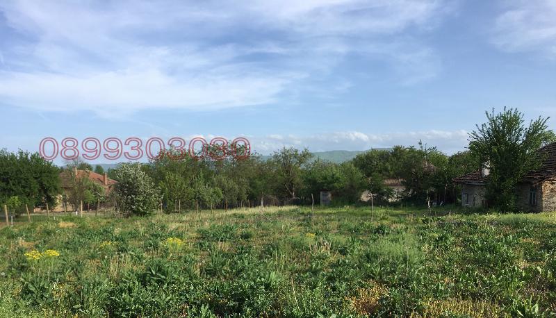 Продава КЪЩА, с. Церова кория, област Велико Търново, снимка 15 - Къщи - 54319444