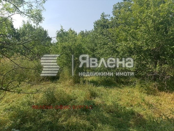Продава ПАРЦЕЛ, с. Фазаново, област Бургас
