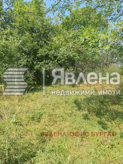 Продава ПАРЦЕЛ, с. Фазаново, област Бургас, снимка 3 - Парцели - 52879232