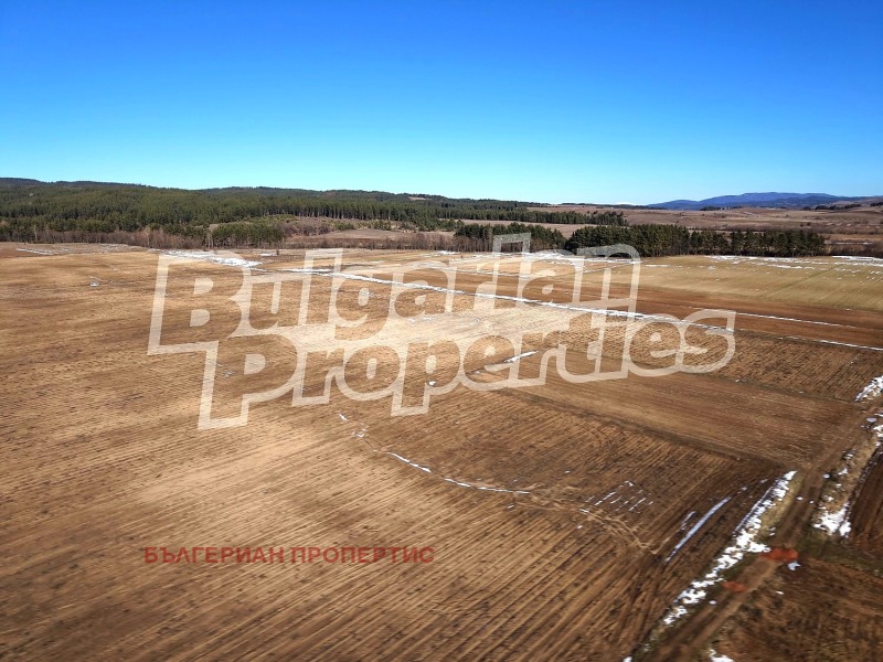 Продава ЗЕМЕДЕЛСКА ЗЕМЯ, с. Рельово, област София област, снимка 6 - Земеделска земя - 53371280